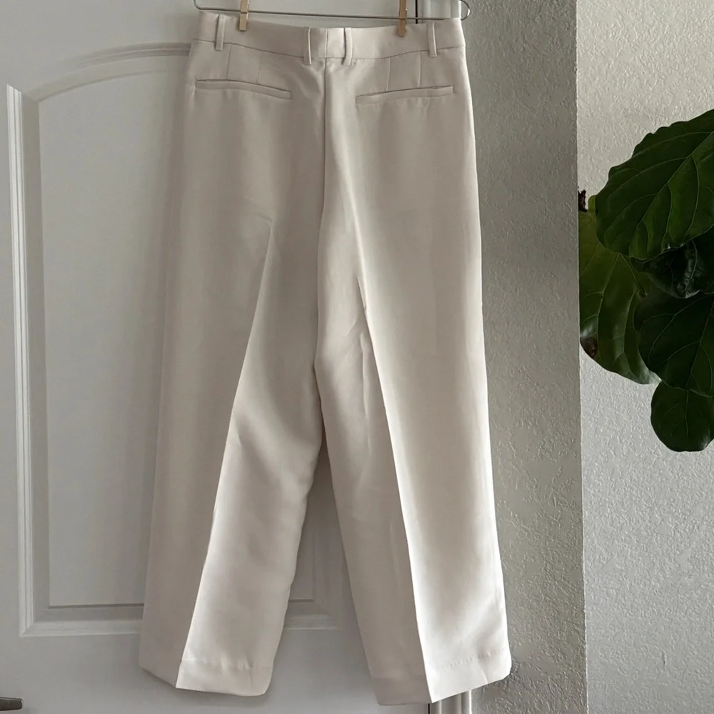 Banana Republic Pleated Wide Leg Pants - Picture 8 of 10